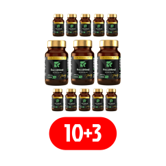 RecoMind® na 13 měsíců – 10+3 zdarma
